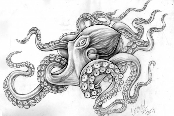 Kraken mirror